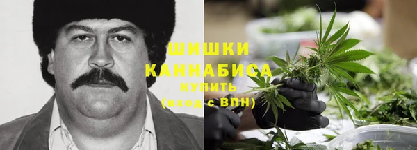 сатива Балахна