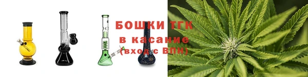 сатива Балахна