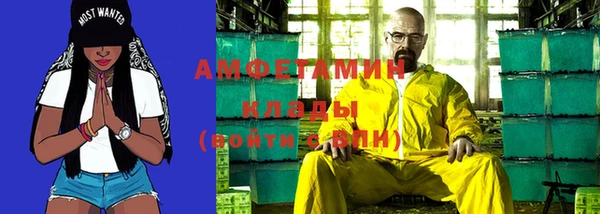 сатива Балахна