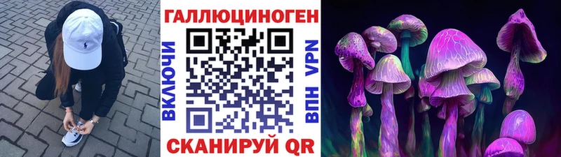 продажа наркотиков  Тобольск  Псилоцибиновые грибы Psilocybine cubensis 
